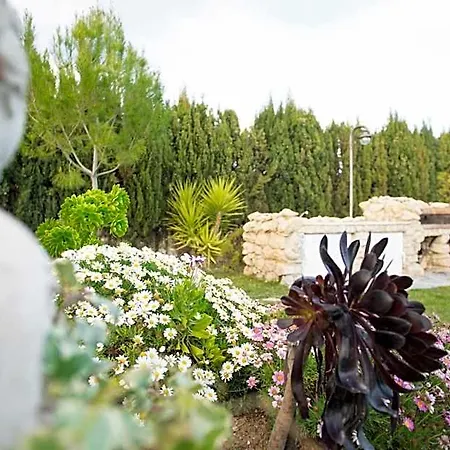 De Campo Agost