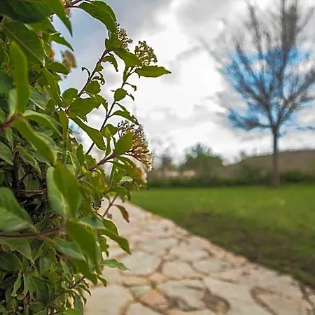 De Campo * Agost